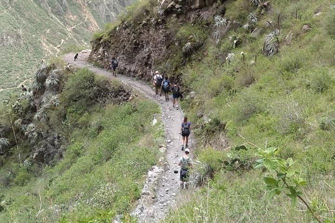 3-Day Custom Colca Canyon Trek From Arequipa - Group Size and Booking