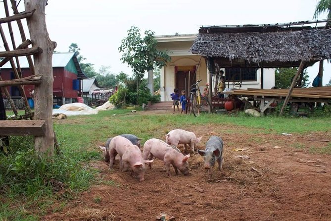 3-Day Cycling Tour In Siem Reap Angkor - Dining and Accommodation