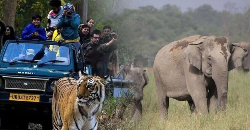 3-Day Delhi & Jaipur Tour With Jim Corbett National Park . - Itinerary Summary