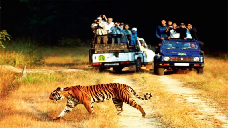 3-Day Delhi & Jaipur Tour With Jim Corbett National Park . - Day 1: Delhi to Jaipur