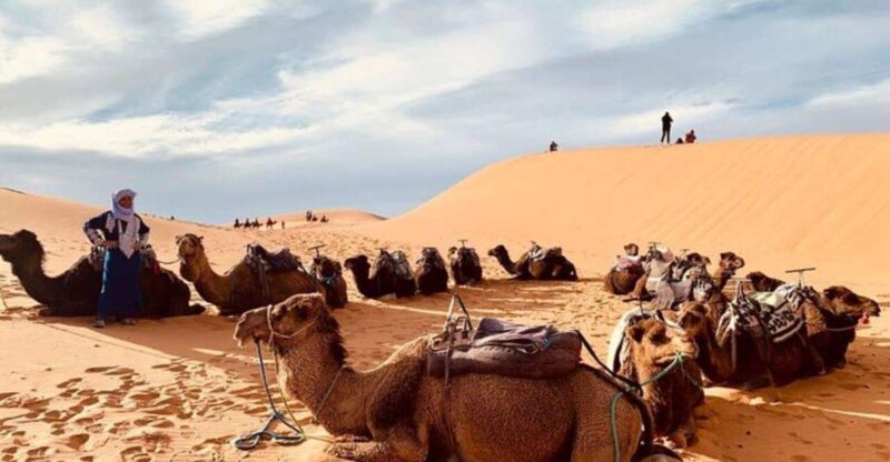 3-Day Desert Excursion From Tangier - Key Points