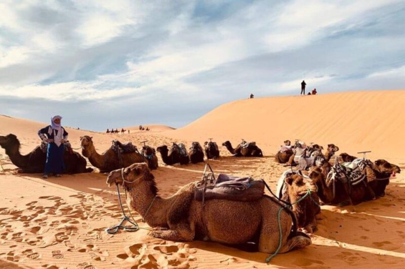 3-Day Desert Excursion From Tangier - Comfortable Accommodation
