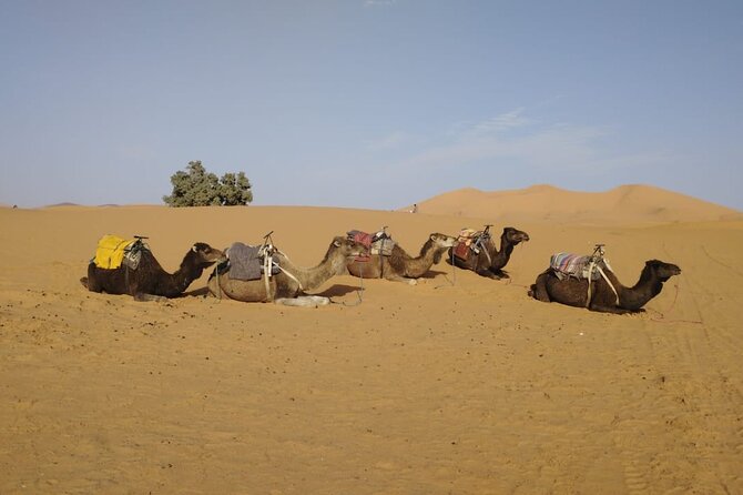 3-Day Desert Tour From Marrakech to Merzouga - Accommodations and Meals