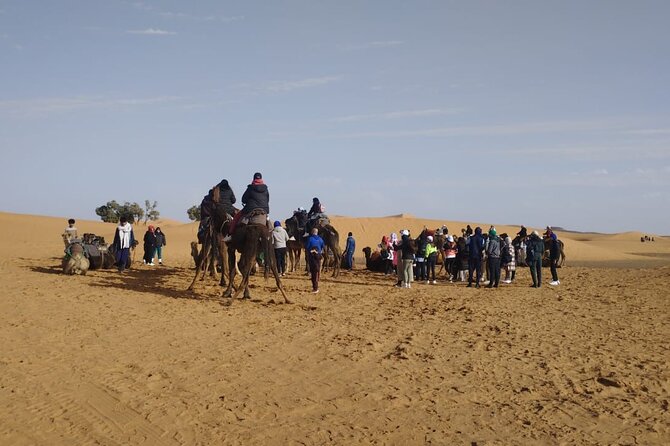 3-Day Desert Tour From Marrakech to Merzouga - Customer Reviews and Ratings