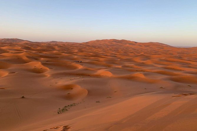 3-Day Desert Tour to Fez: Ouarzazate and Berber Village From Marrakech - Valley of Roses