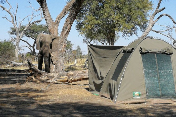 3 Day Desert Trail: Central Kalahari Game Reserve - WildCamping Safari - Meals and Refreshments Included
