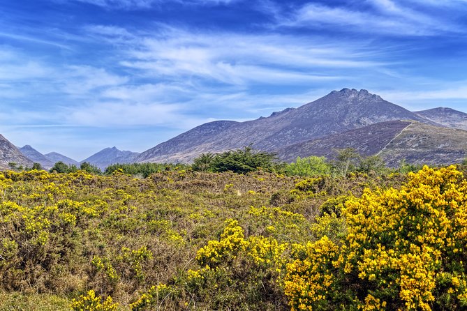 3-Day Discover Northern Ireland Small-Group Tour From Dublin - Accessibility and Eligibility