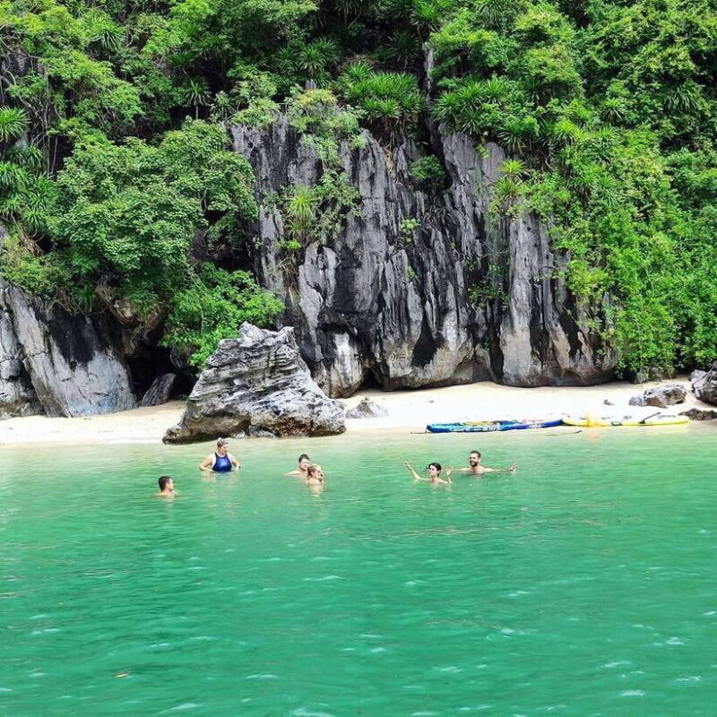 3-Day Discover the Most Stunning Cat Ba Island - Lan Ha Bay - Tour Overview and Pricing