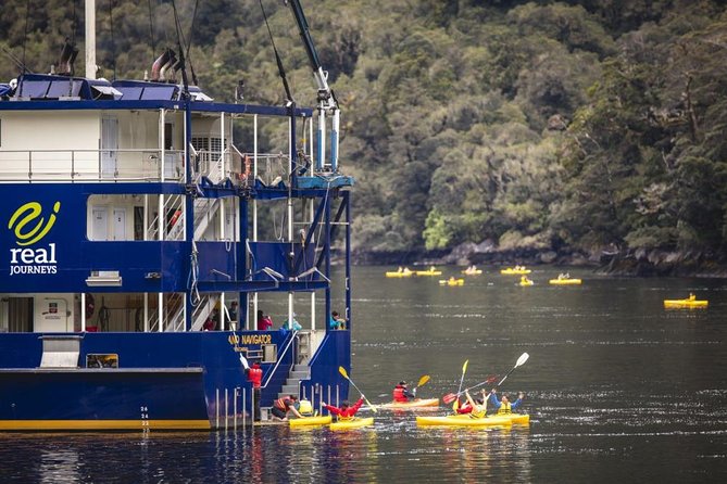 3 Day Doubtful Sound Overnight Cruise and Glowworm Tour From Queenstown - Pricing