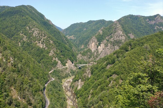 3-Day Dracula Entranced Tour From Bucharest With Transport - Transport and Accessibility