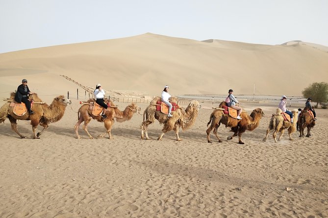 3-Day Dunhuang VIP Silk Road Tour: Mogao Grottoes and Han Great Wall - Meeting and Pickup