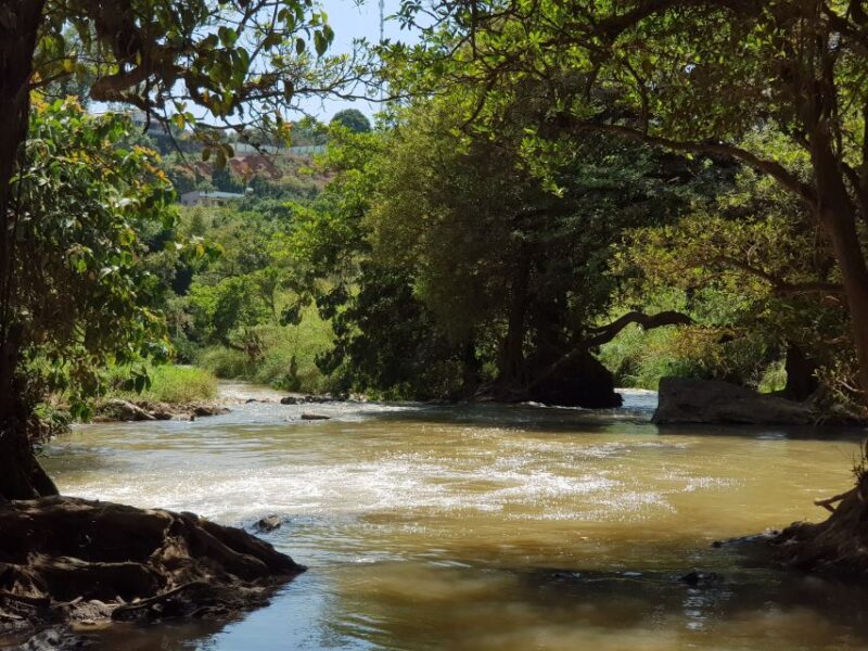 3-Day Easy Rider Tour From Da Lat to Sai Gon - Day 1: Da Lat to Lak Lake