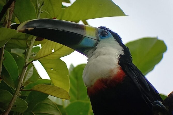 3-Day Eco-Sustainable Private Tour Manu National Park - Key Points