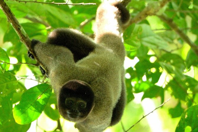 3-Day Eco-Sustainable Private Tour Manu National Park - Itinerary Highlights