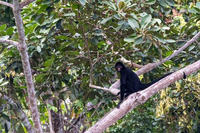 3-Day Eco-Sustainable Private Tour Manu National Park - Day 3: Paititi Lodge to Cusco