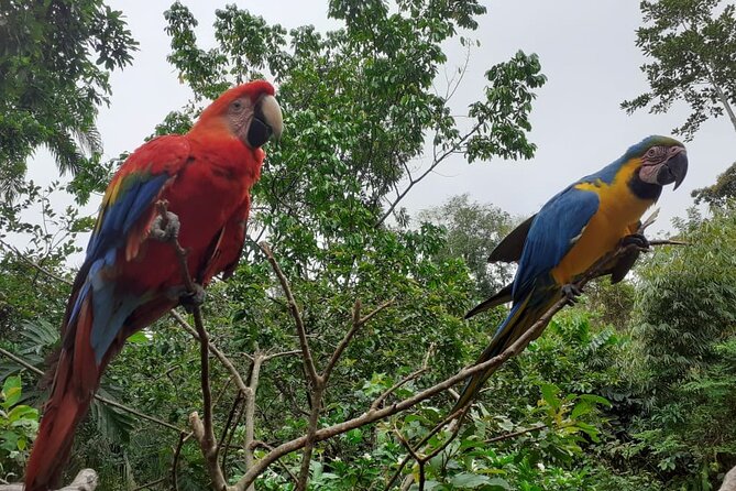 3-Day Eco-Sustainable Private Tour Manu National Park - Included Services