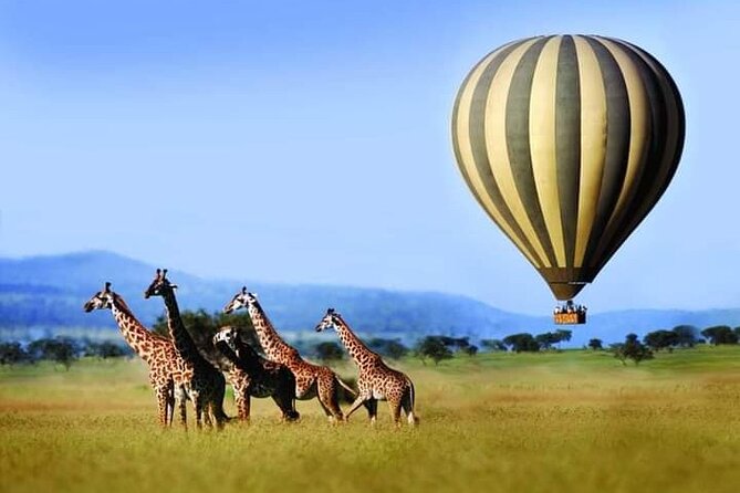 3 Day Essential 4x4 Safari: Manyara, Tarangire & Ngorongoro - Rift Valley Adventure