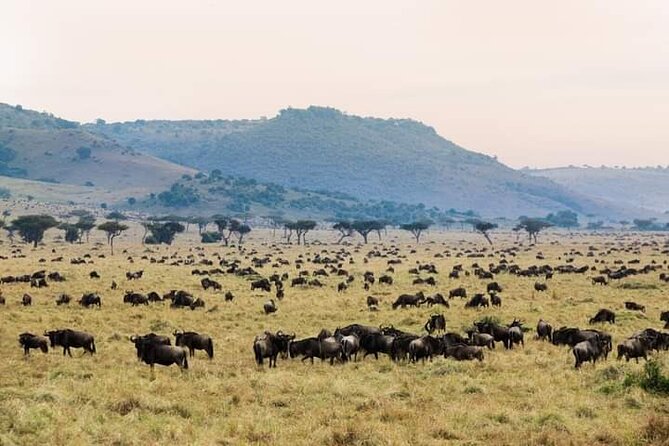 3 Day Essential 4x4 Safari: Manyara, Tarangire & Ngorongoro - Included Experiences