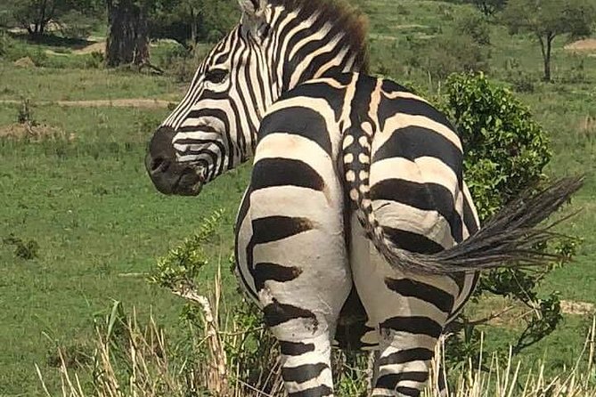 3 Day Essential 4x4 Safari: Manyara, Tarangire & Ngorongoro - Additional Details