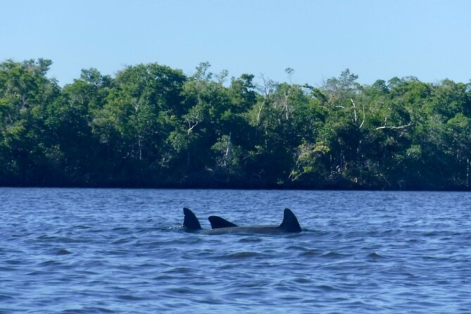 3 Day Everglades National Park, Backcountry Kayak-Sailing Tour - Guide Gratuities