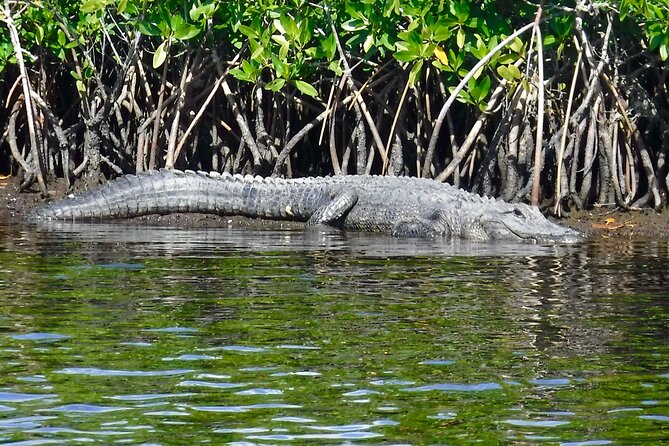 3 Day Everglades National Park, Backcountry Kayak-Sailing Tour - Meeting and End Point
