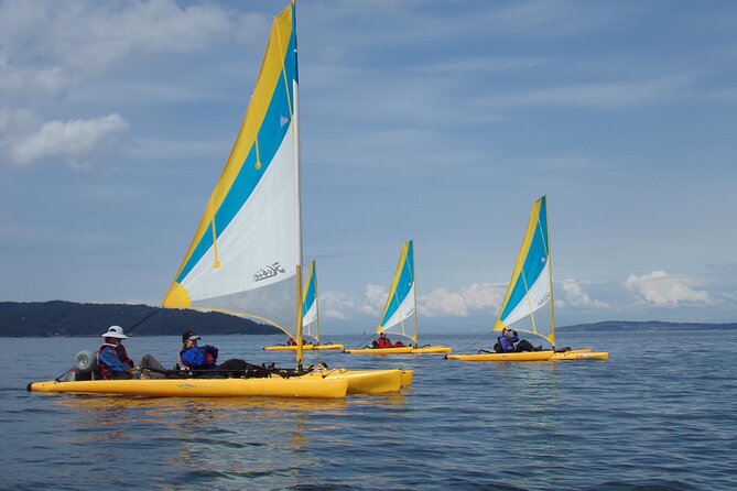 3 Day Everglades National Park, Backcountry Kayak-Sailing Tour - Booking Information