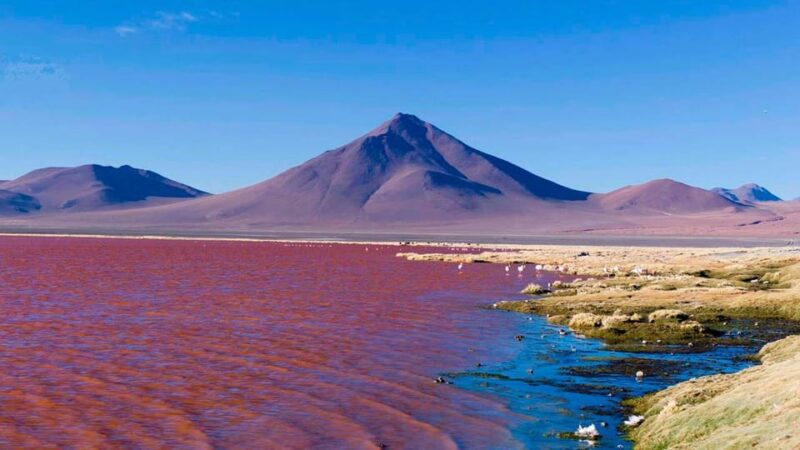 3-Day Excursion to the Salar De Uyuni From La Paz City - Highlights of the Experience