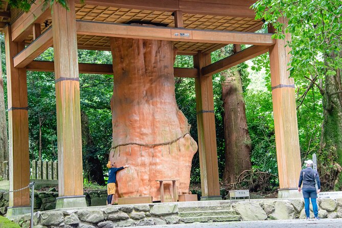 3-Day Experience to Immerse in the Nature of Aso - Day 1: Exploring Asos Landscapes