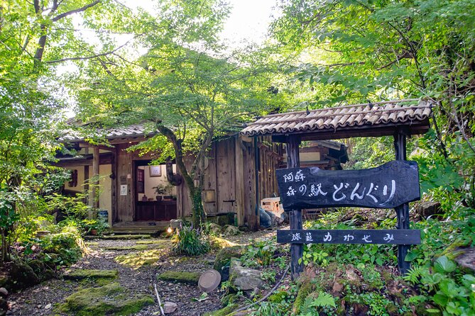 3-Day Experience to Immerse in the Nature of Aso - Day 2: Taking in Natures Wonders