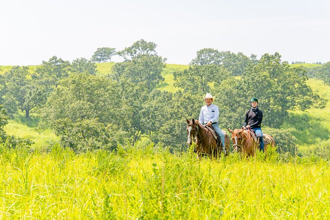 3-Day Experience to Immerse in the Nature of Aso - Day 3: Embracing Asos Cultural Heritage