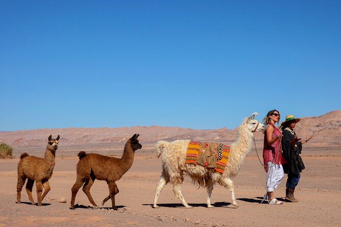 3-Day Exploring San Pedro De Atacama - Breakfast and Dietary Requirements