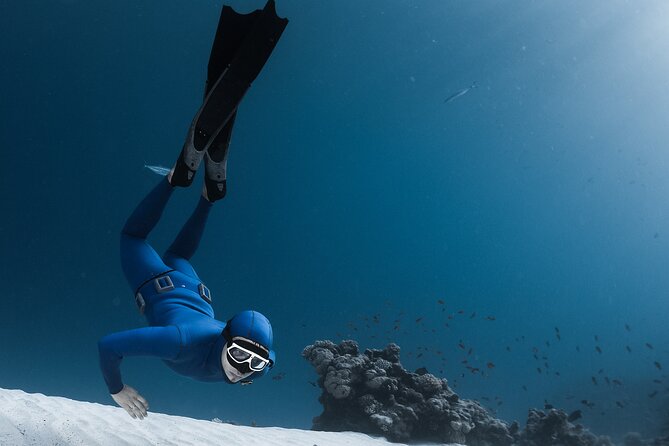 3-Day Freediving Level 1 Course - Meeting and Pickup
