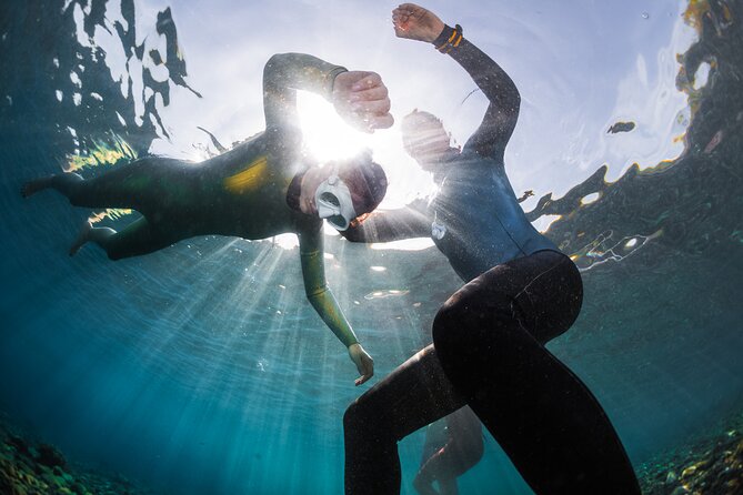 3-Day Freediving Level 1 Course - Health and Safety