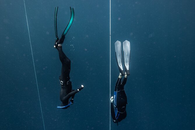 3-Day Freediving Level 1 Course - Reviews and Ratings