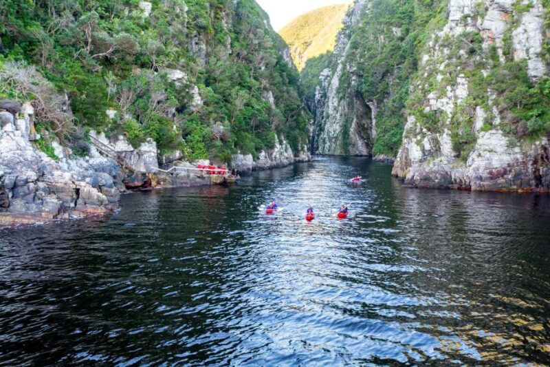 3 Day Garden Route All-Inclusive Private Tour From Cape Town - Botlierskop Game Reserve