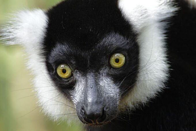 3 Day Garden Route All-Inclusive Private Tour From Cape Town - Return Journey to Cape Town