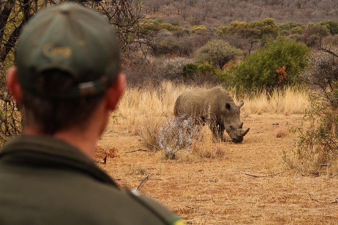3 Day Garden Route Highlights and Safari With Private Transfers - Pickup, Transportation, and Guides