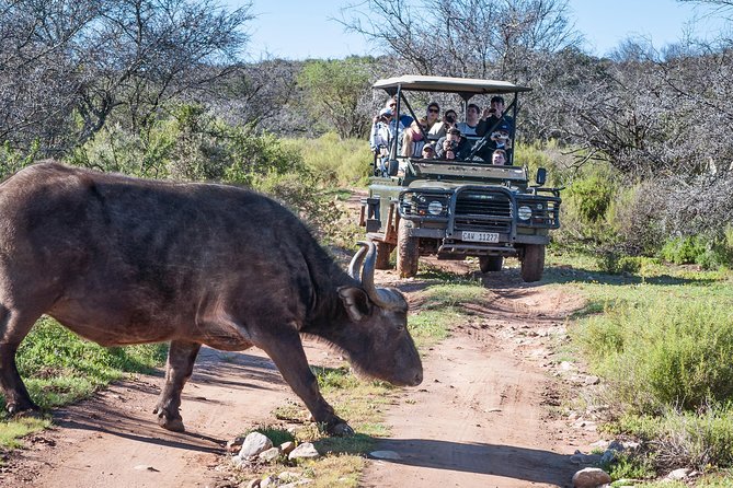3 Day Garden Route Highlights and Safari With Private Transfers - Itinerary and Travel Tips