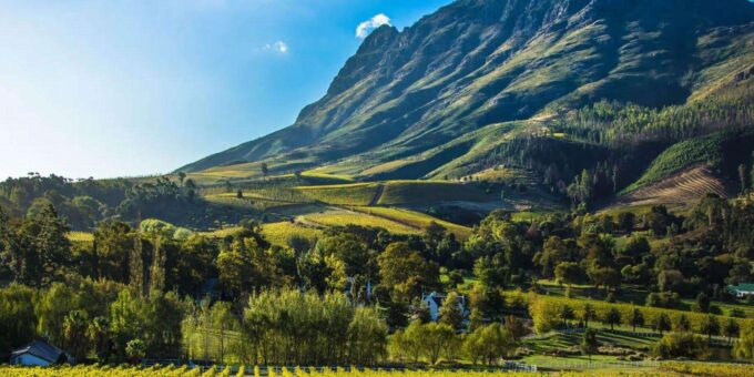 3 Day Garden Route Private Safari From Cape Town - What to Expect