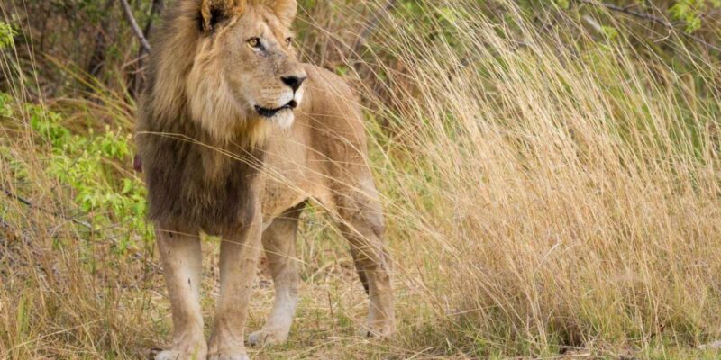 3 Day Garden Route Private Tour From Cape Town - Key Attractions