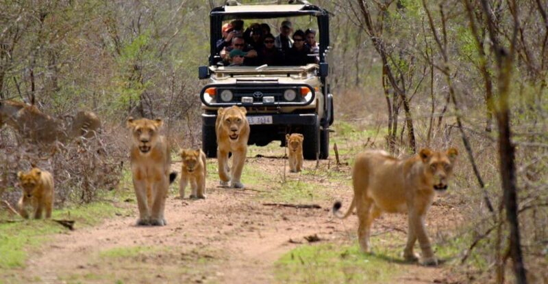 3 Day Garden Route Private Tour - Key Points