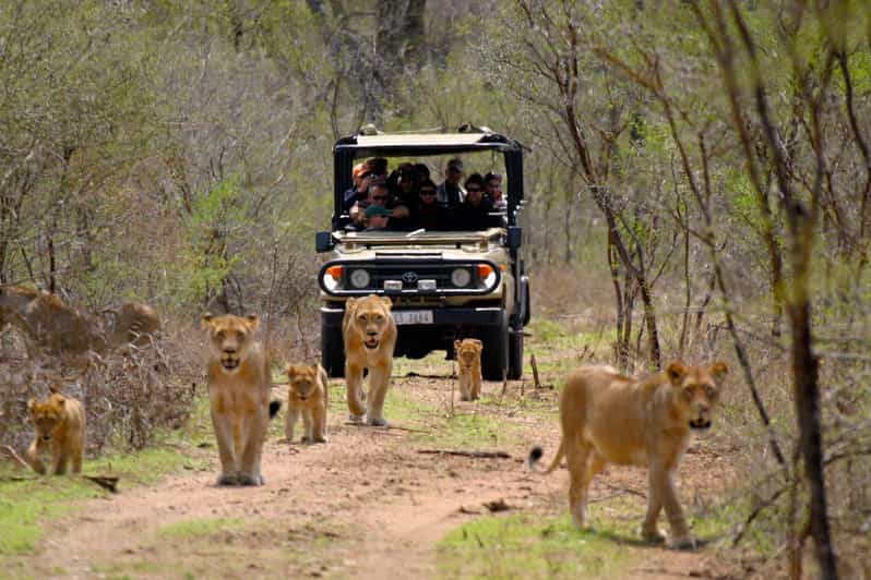 3 Day Garden Route Private Tour - Included Services
