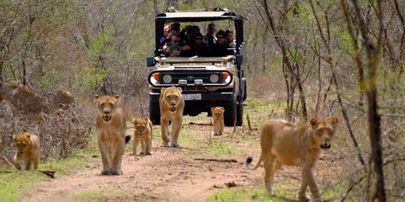 3 Day Garden Route Private Tour - Important Information