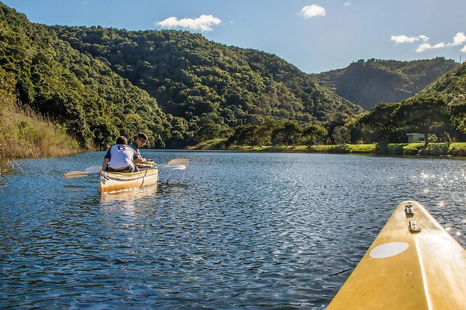 3 Day Garden Routes Best Highlights With Safari From Cape Town - Optional Bungee Jumping and Zipline