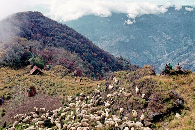 3-Day Ghandruk Loop Trek From Pokhara - Operator and Policies