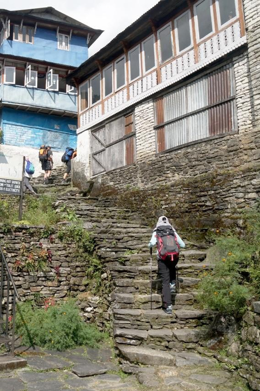 3 Day Ghorepani Poonhill Private Trek Pokhara - Itinerary Breakdown