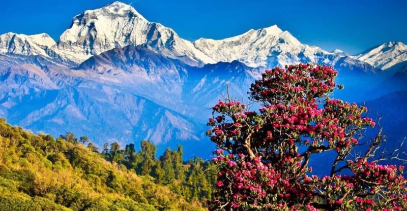 3 Day Ghorepani Poonhill Private Trek Pokhara - Meeting and Pickup