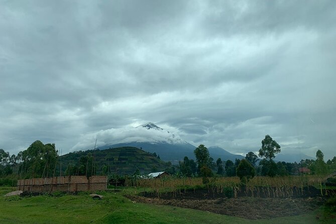 3 Day Gorilla Trek at Bwindi National Park via Kigali - Accessibility and Fitness Requirements