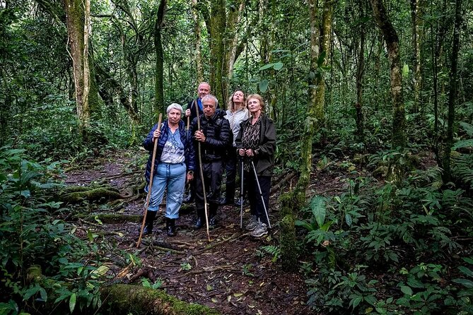 3-Day Gorilla Trekking Safari in Bwindi Impenetrable Forest - Additional Information