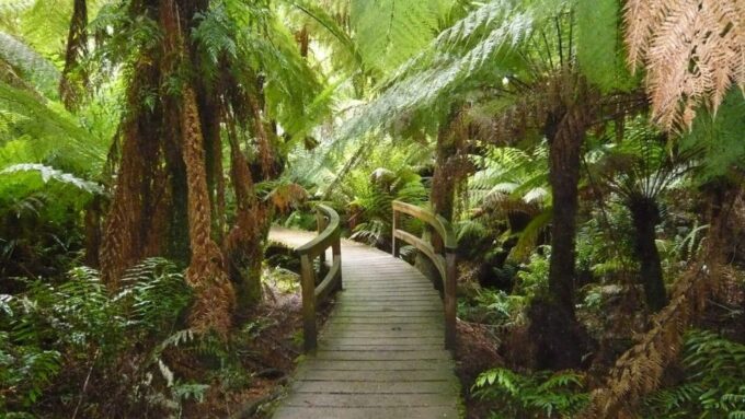 3-Day Great Ocean Road and Grampians Small-Group Tour - Inclusions